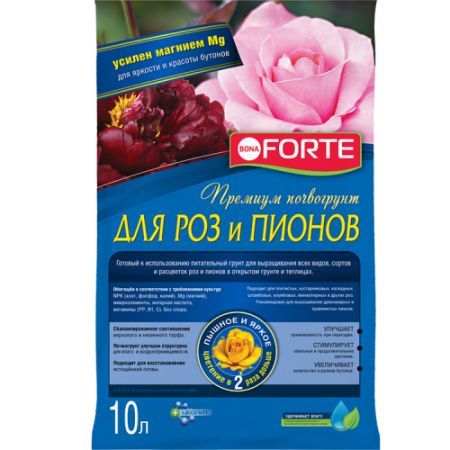 IMG-9888
