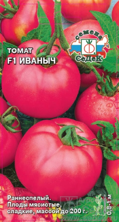 tomat_ivanych_f1