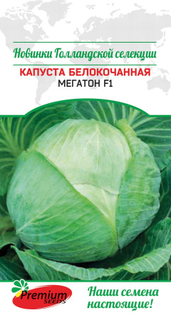 43d165286463b240ae03a1ae4a689918