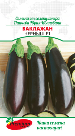 черныш