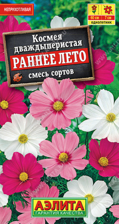 Космея Раннее лето аэлита