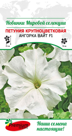 ангорка