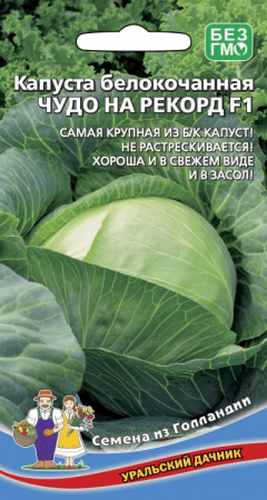 313