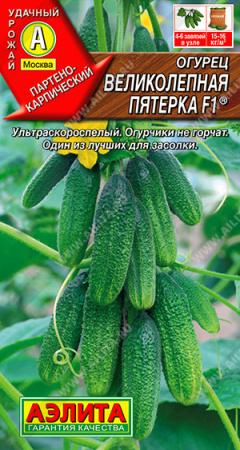 великолепная пятерка