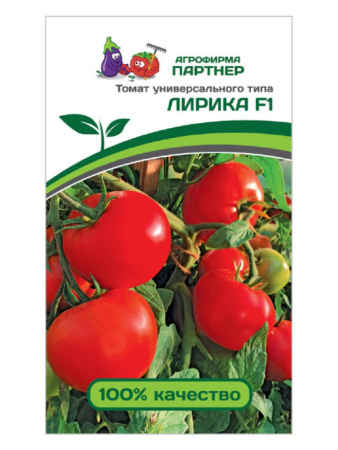 лирика