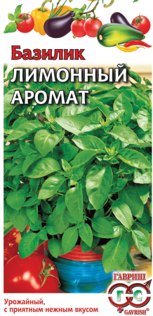 bazilik_limonnyj_mini4