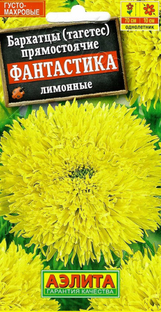 725