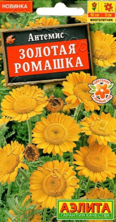 269