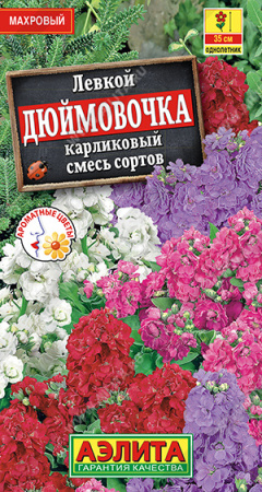 Левкой карликовый Дюймовочка смесь
