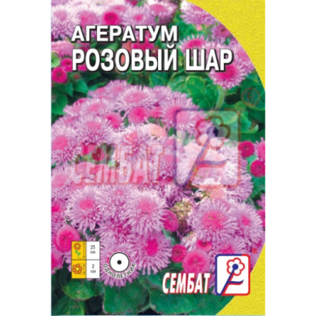 ageratum-rozovyj-shar-005g
