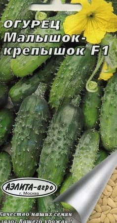 малышок-крепышок