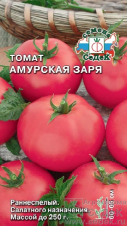 tomat_amurskaya_zarya