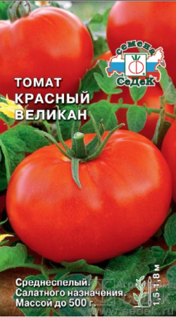 tomat_krasnyy_velikan