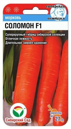 соломон