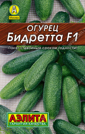 бидретта лидер