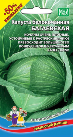 багаев