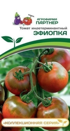 1451
