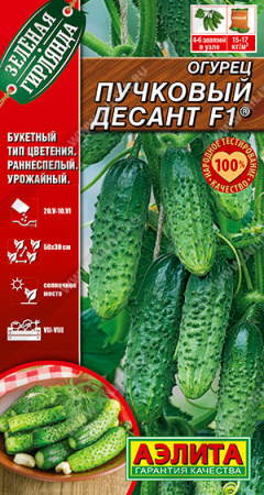 Пучковый десант