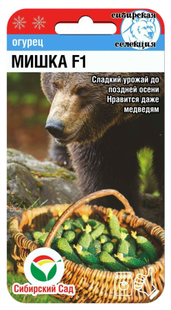 мишка