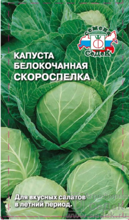 258