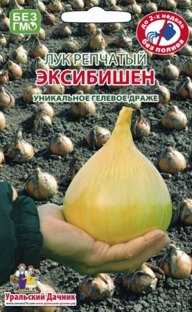 Лук репчатый ЭКСИБИШЕН урал.дач