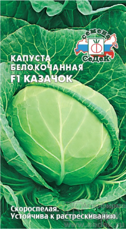 97