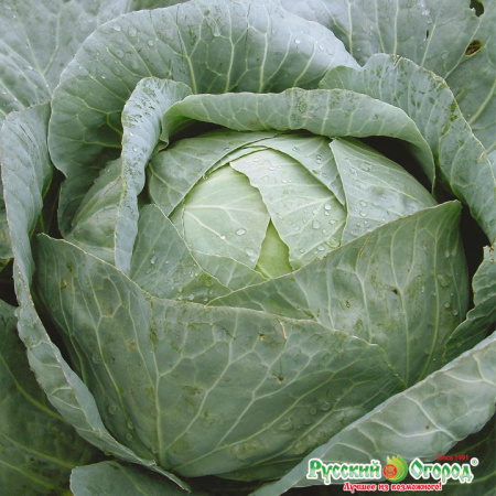 b6f89d167466141810fb4571a2b52db3