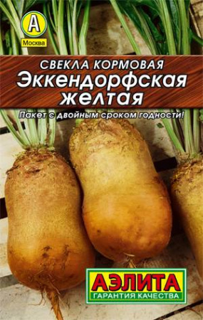 1705