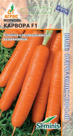 морковь карвора