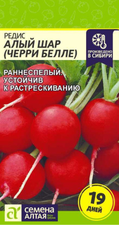 IMG-0108