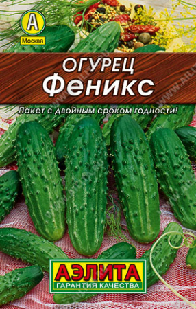 Феникс лидер