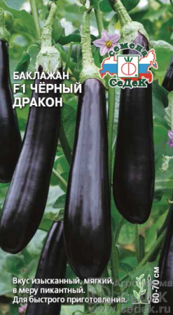 baklazhan_chernyy_drakon_f1