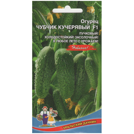 чубчик кучерявый