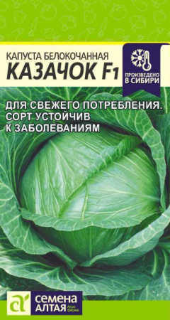 казачок
