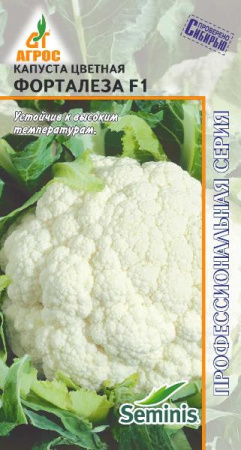 форталеза