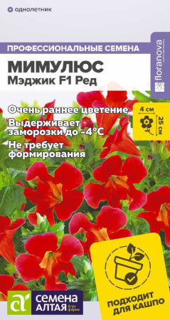 n5ttqp7tjrw6c44mv71ttzbwzxyipn8d