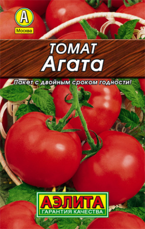 агата лидер