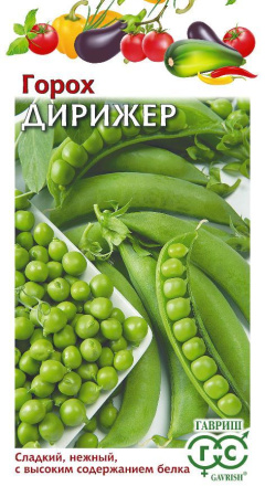 Горох Дирижёр гавриш