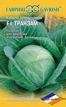 Транзам
