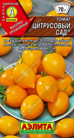 цитрусовый сад