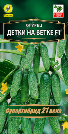 детки на ветке