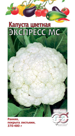 Экспресс МС