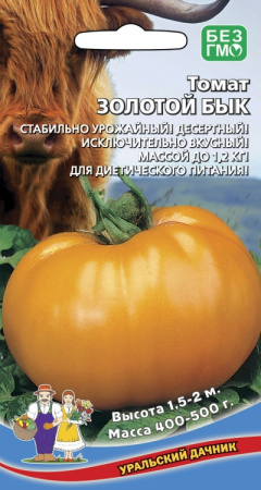 tomat-zolotoy-byk