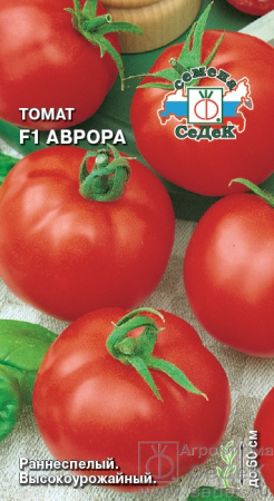 tomat_avrora_f1