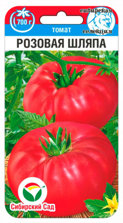 uvv58xdivy37qc35frguiez4xkadin5i