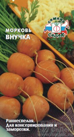 morkov_vnuchka