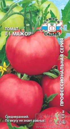 tomat_mazhor_f1