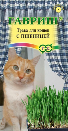 IMG_2258