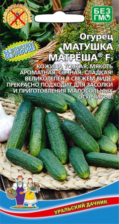 ogurec-matushka-matshesha-f1