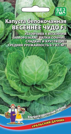 kapusta-belokochannaya-vesennee-chudo-f1